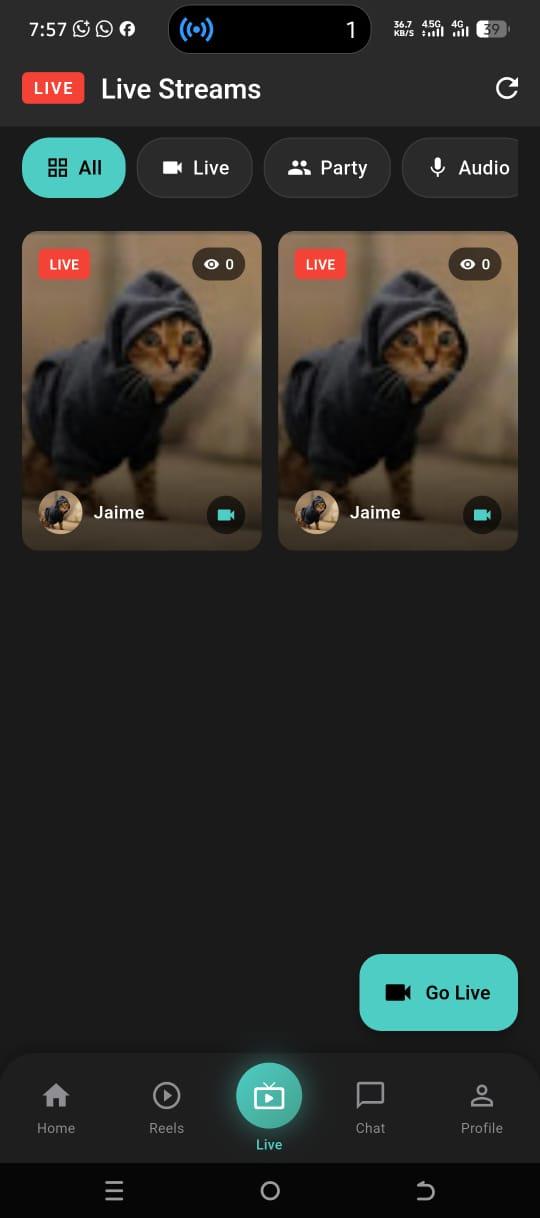 Ancient Flip Live.jpeg