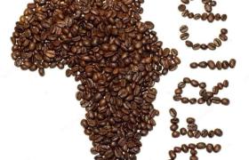 All-Inclusive Governance of The Ancient Society